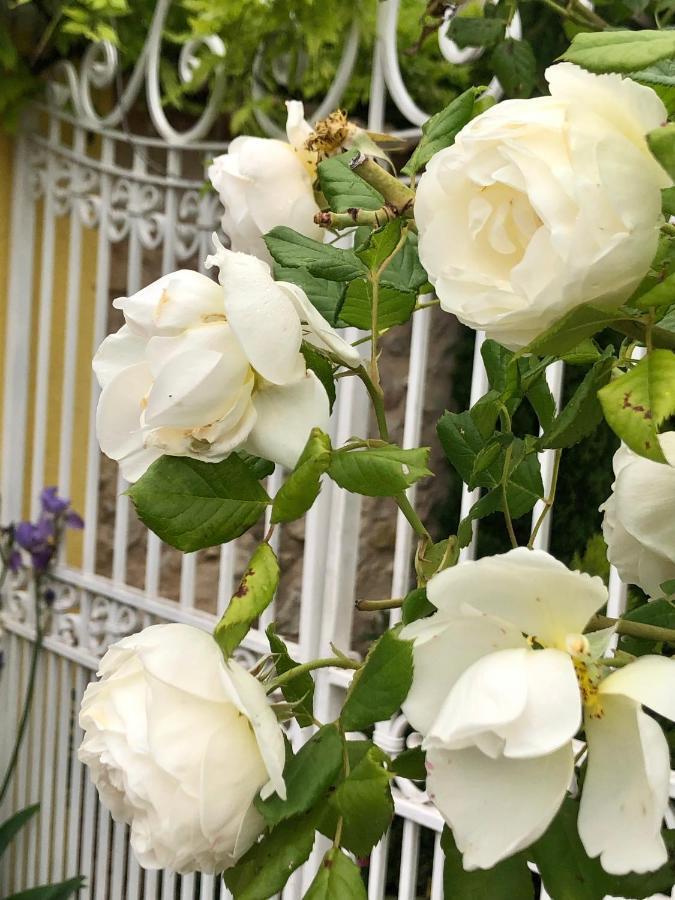 L'Ile Aux Fleurs Villa Ventabren Eksteriør billede